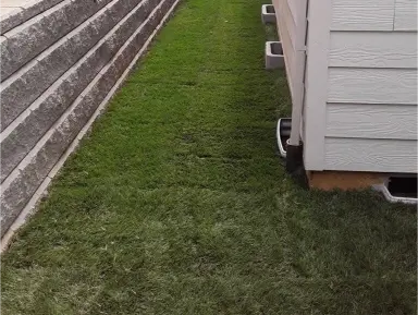 Professional Fence Installation Service