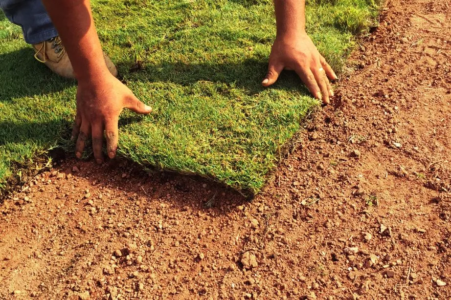 Technician repairing washing machine