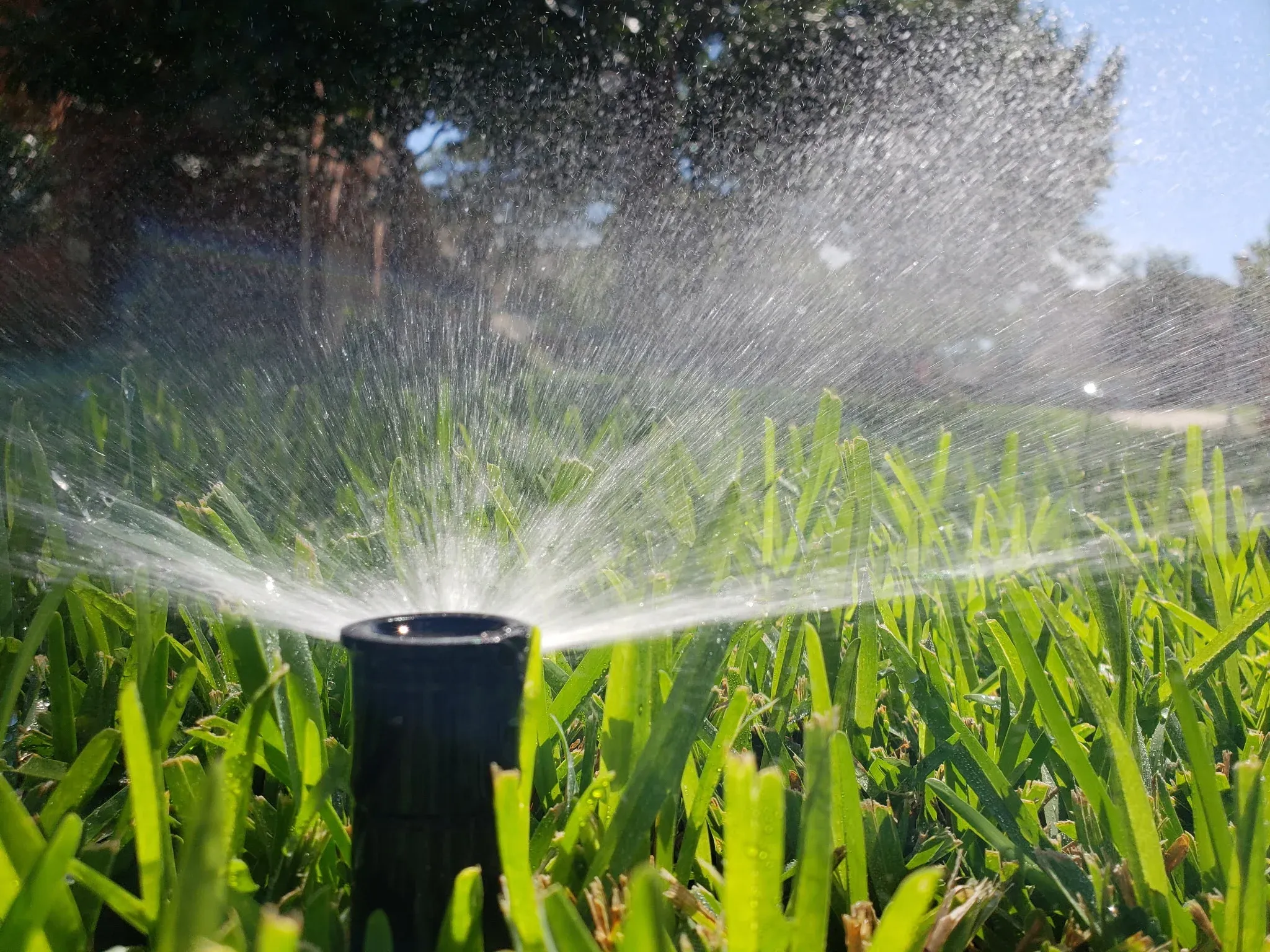 Irrigation repair and maintenance Seattle